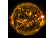 Cool the Earth