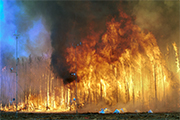 Wildfires
