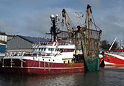 Trawling