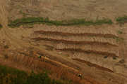 Carbon taxation