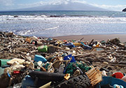 Plastic pollution