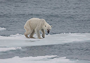 Climate plan