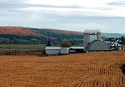 Fertilizer prices