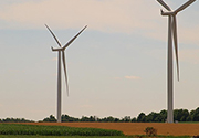 Food system carbon neutral