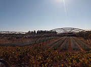 Sustainable farming