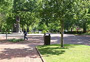 Small green spaces