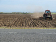 Average farmer