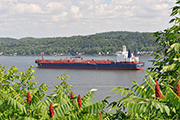 Shipping