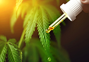 Cannabidiol legalization