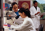 Researchers