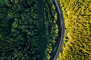 COP15