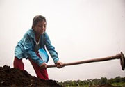 Forced Labour