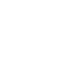 twitter icon