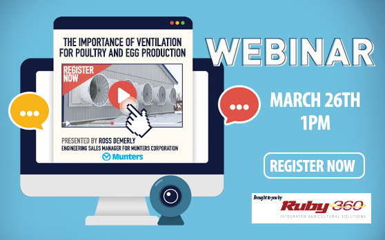 The Importance of Ventilation for Poultry and Egg Production