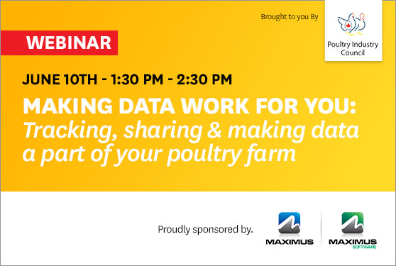 <b>Making Data Work for You</b>