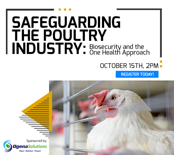 <b>Safeguarding The Poultry Industry</b>