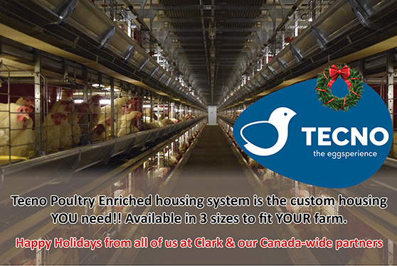 <b>Tecno Poultry Equipment: Something for everyone</b>