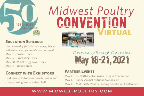 2021 MPF Virtual Convention: Community Through Connection