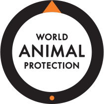 WAP logo