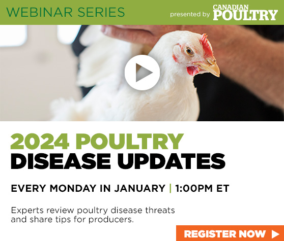 2024 Poultry Disease Update Webinars   CP PoultryDiseaseUpdates Webinar EBlast Nov23 CWM V3 