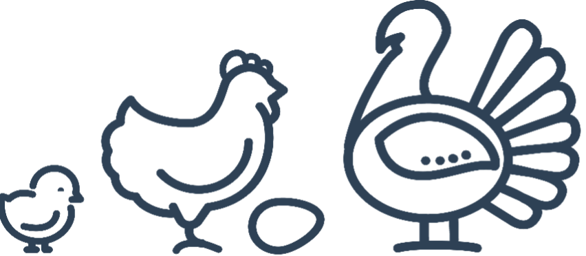 Chickens
