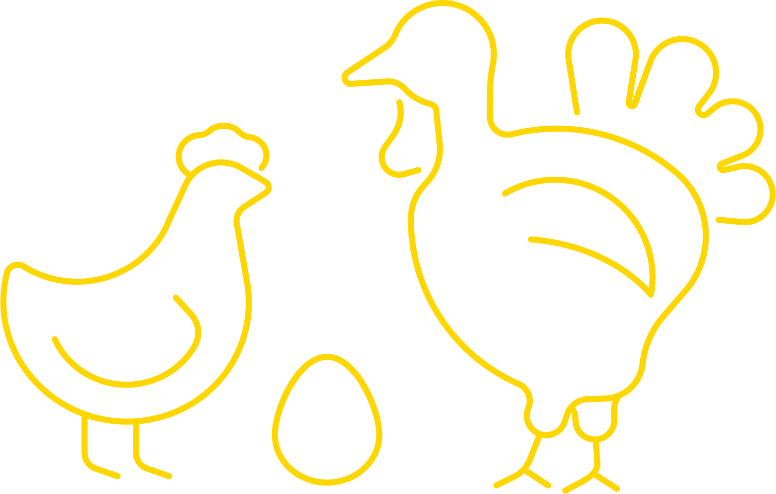 Chickens