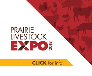 Prairie Livestock Expo