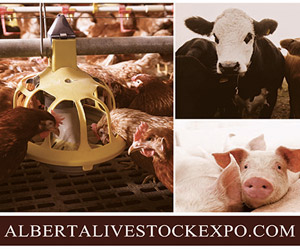 Alberta Livestock Expo
