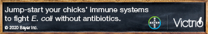 Bayer Victrio