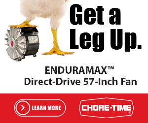 Sponsored Spotlight Ad
