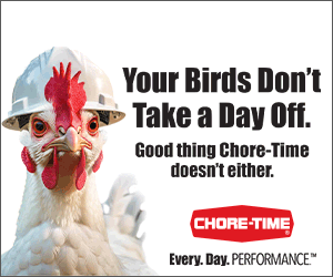 Sponsored Spotlight Ad