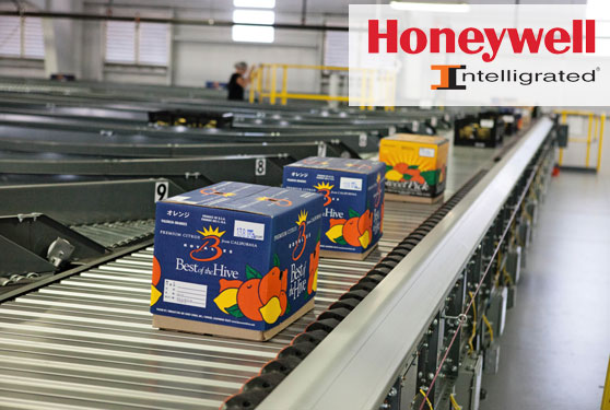 Bee Sweet Citrus turns to Honeywell Intelligrated for flexible palletizing solution