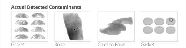 Detected Contaminants
