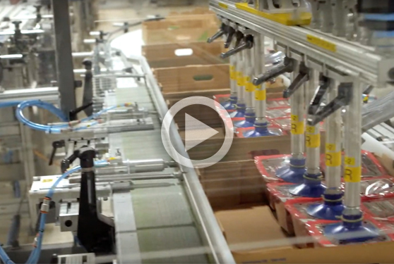 NatureFresh Farms offers high praise for automation partner Paxiom