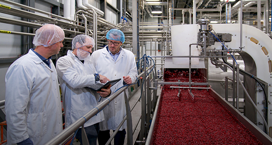 Digital Transformation: Ushering in a Post-Pandemic Future for Food Manufacturers