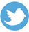 twitter icon
