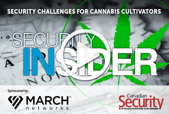 Safety and security in cannabis production