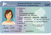 Redesigned licence cards