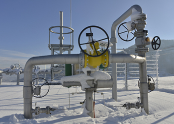 Large O-Ring Inventory 