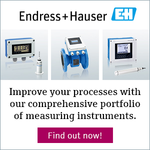 Endress + Houser