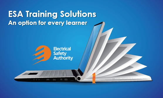 ESA Training Solutions Offers Options for Every Learner