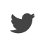 twitter icon