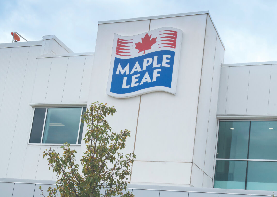 Front-facing, exterior view of a Maple Leaf food processing facility.