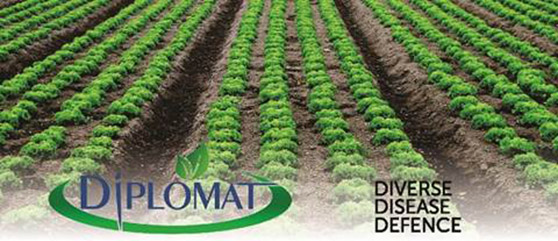 Diplomat