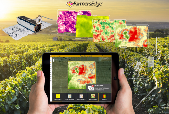 <center>Monitor Your Specialty Crops with Advanced Daily Imagery</center>