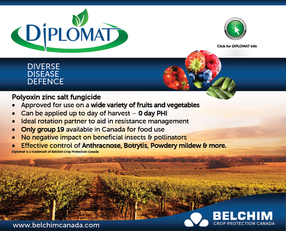 Diplomat