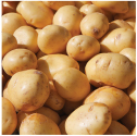 Potatoes