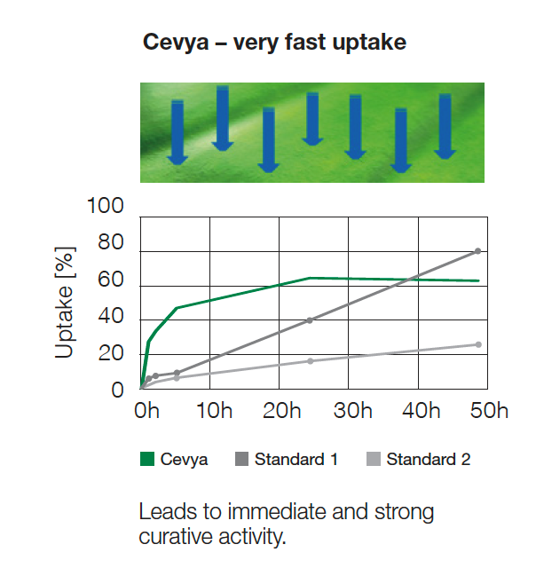 Cevya - very fast uptake