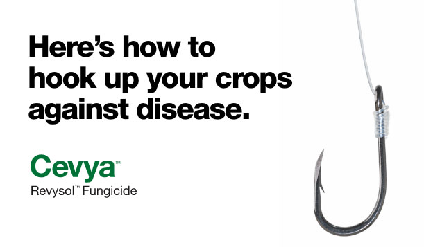 Here’s how to hook up your crops against disease.