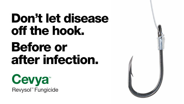 Don’t let disease off the hook. Before or after infection.